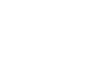 Presence logo graphic