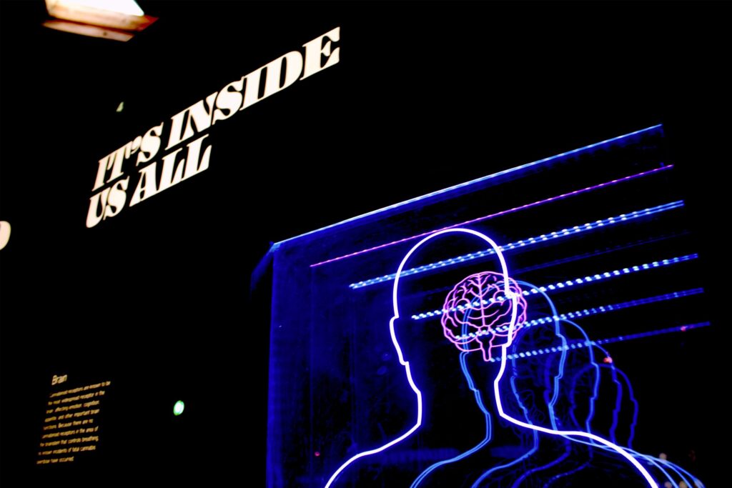 Neon outline of a person